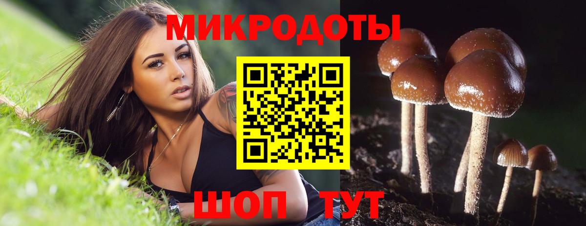 Галлюциногенные грибы Psilocybine cubensis Гагарин